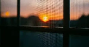 Read more about the article Custom Window Screens for Historic Homes: Preserving Charm