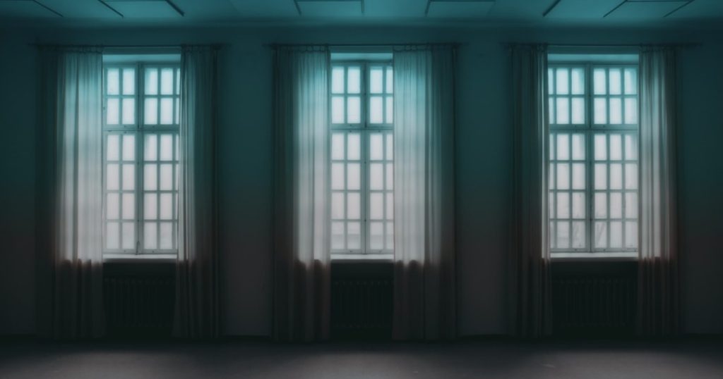 Read more about the article The Science of Bug-Proofing: How Window Screens Keep Pests Out