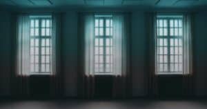 Read more about the article The Science of Bug-Proofing: How Window Screens Keep Pests Out