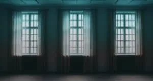 Read more about the article The Science of Bug-Proofing: How Window Screens Keep Pests Out